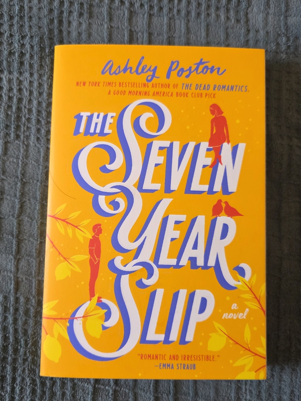 The Seven Year Slip - Ashley Poston